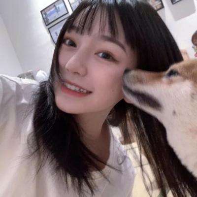 阿当比鸡手机版下载